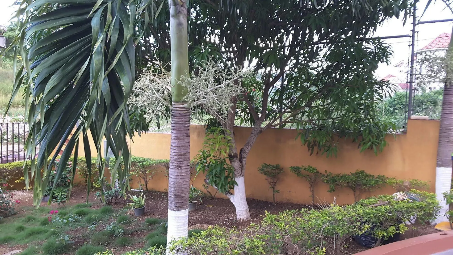 Guest house Cazwin Villas Montego Bay